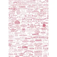 Ciao Bella Flower Shop A4 Vellum Paper Patterns (6pcs) (CBV016)